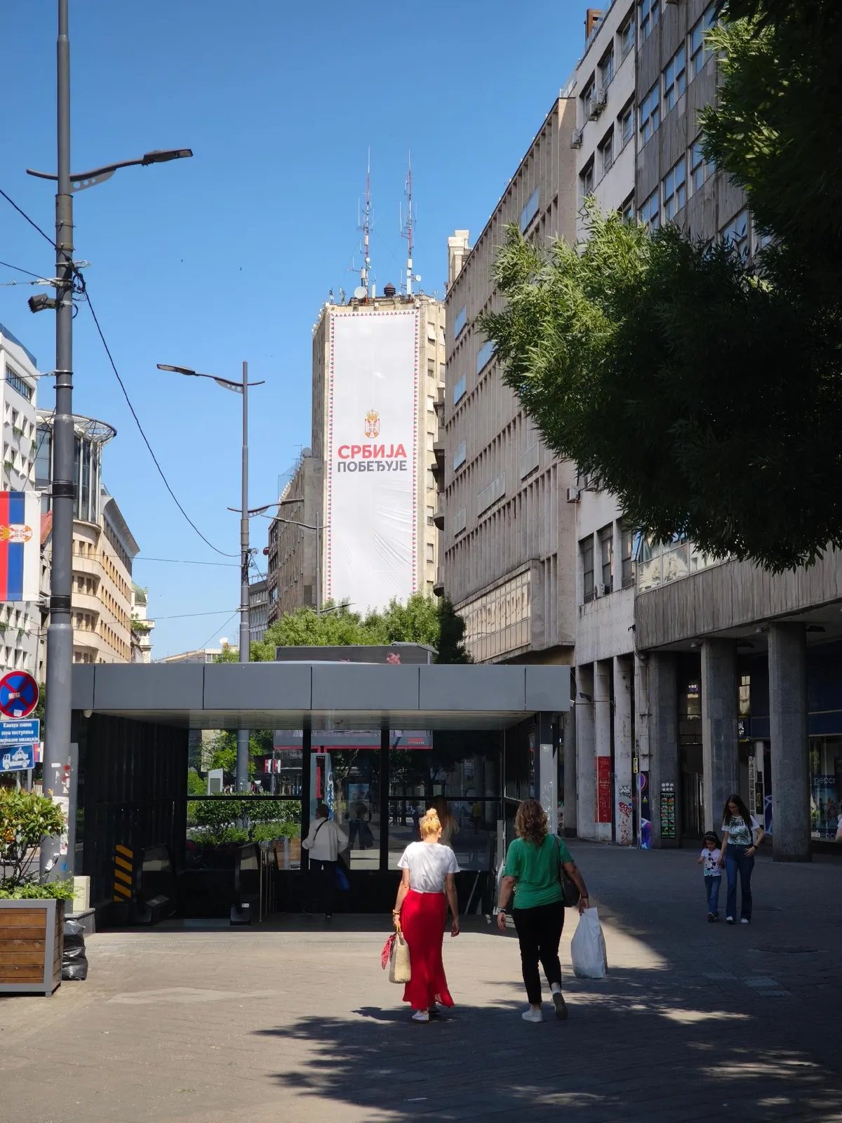 VIDEO Stručnjaci Zavoda za zaštitu prirode nahranili jedan broj ptića belih čiopa zarobljenih iza bilborda na Palati Albanija