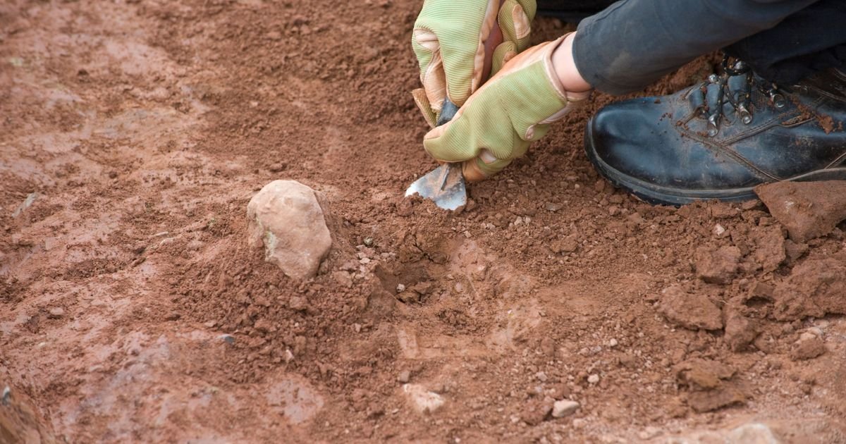 Pogrebni darovi čuvaju dokaze o identitetu, statusu, ritualima Misteriozni grob ratnika iskopan kraj Čongrada