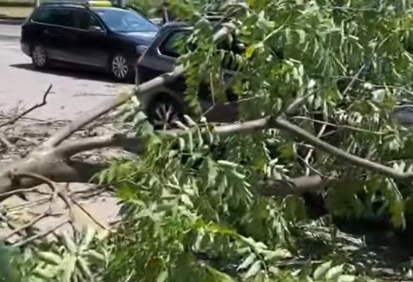 SNAŽNO NEVREME POGODILO SARAJEVO, VETAR RUŠIO STABLA: Jedno palo na taksi, vozač van sebe: "Moglo je da me ubije" (VIDEO)