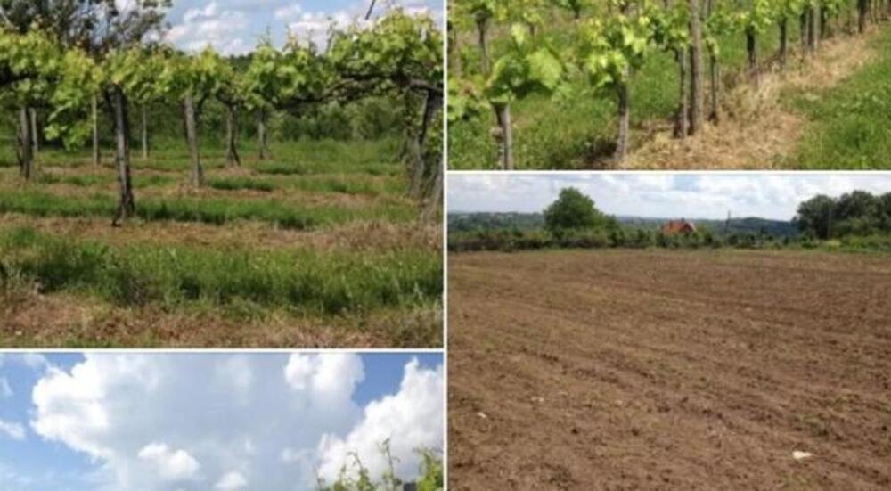 Plac na odličnoj lokaciji se prodaje za samo 24.000 evra: Ima više od 40 ari i asfalt do parcele (FOTO)