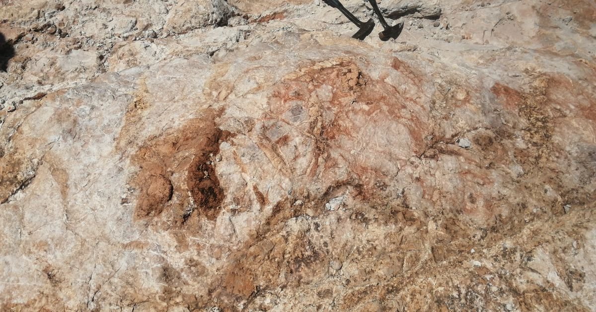 Crvene pruge na steni u Velsu su praistorijska umetnost, a ne prirodni fenomen: Nastale su pre 17.100 godina