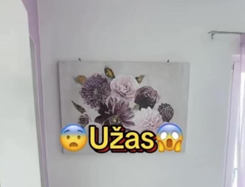 "Verovatno su gosti iz Bosne": Pogledajte samo šta su ostavili iza sebe, gazdarica se ŠOKIRALA (VIDEO)