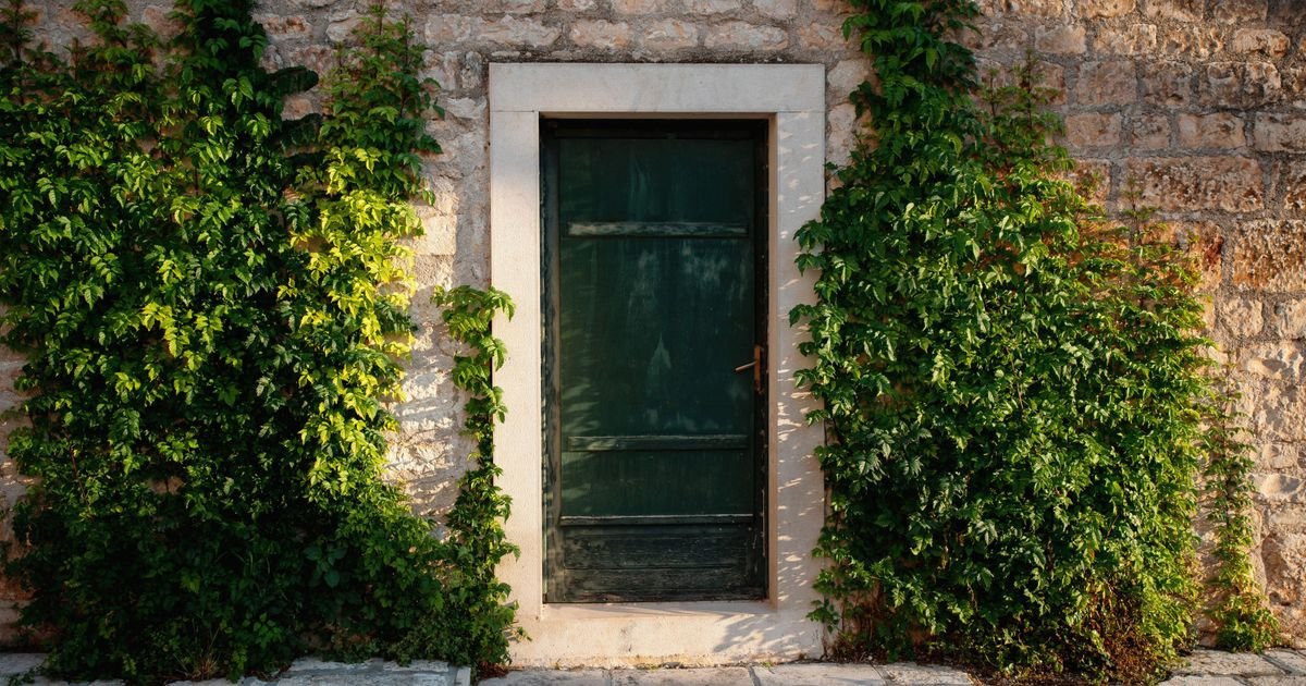 Dve biljke koje bi trebalo da stoje pored ulaznih vrata: Lepo mirišu, korisne su i unose prijatnu energiju