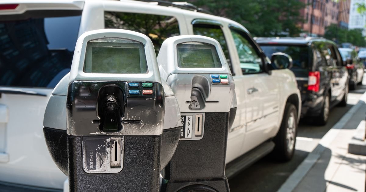 ŠOK SNIMAK IZ KRANJA Zmija ušla u automat za parking karte: Potez nadležnih kada su je uhvatili sve govori