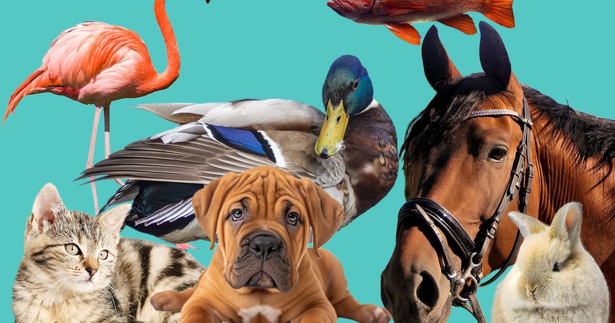 Nezapamćena tragedija povod za oprez: Poznati veterinar otkrio koje su životinje najopasnije ubice!