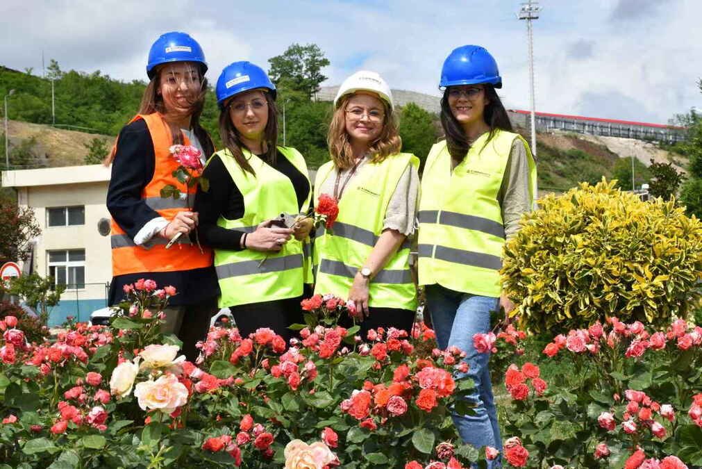 Svetski dan zaštite životne sredine: Ružičnjak borske topionice - nekada industrijski otpad, danas cvetna oaza