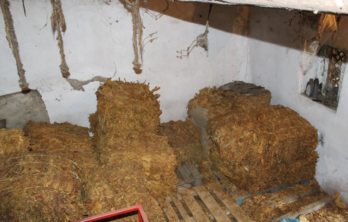 U magacionu skladištio više od 500 kg rezanog duvana: Krivična prijava za muškarca iz Knjaževca