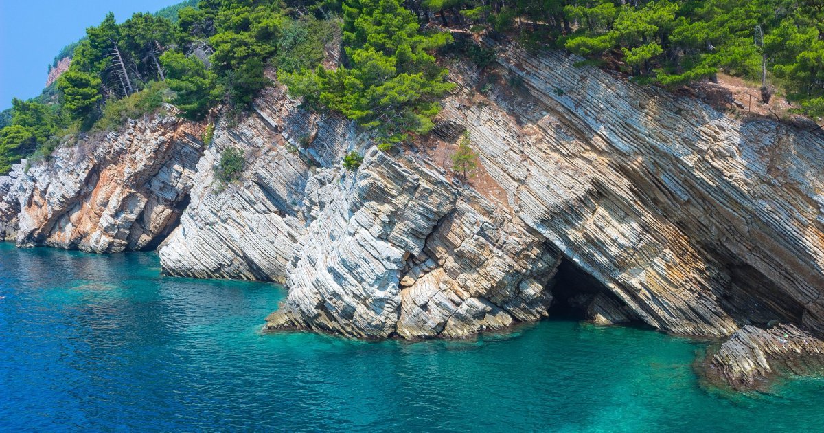 FOKA U JADRANU: Kamera snimila prizor koji se retko viđa, doplivala u zaliv u potrazi za hranom