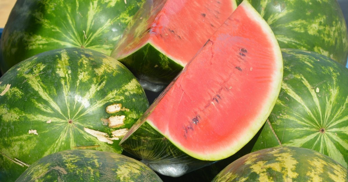 Hrvati poludeli za lubenicom iz ove države: Kažu da je jeftinija i slađa od domaće - kao kad je u šećer umočiš