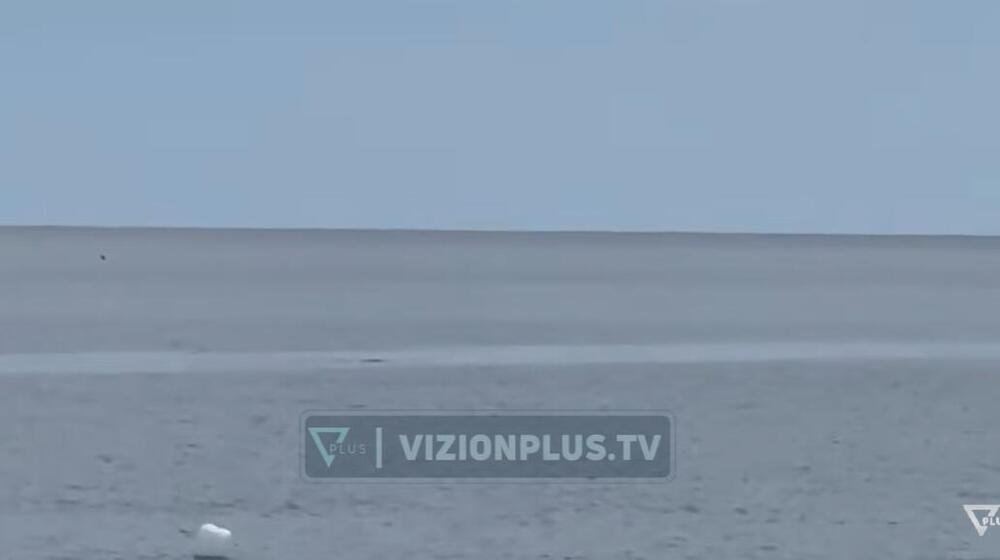 Kamera snimila ŠOK STVORENJE u Jadranu! Smatralo se IZUMRLIM, a onda se pojavilo! Namamilo ga ovo