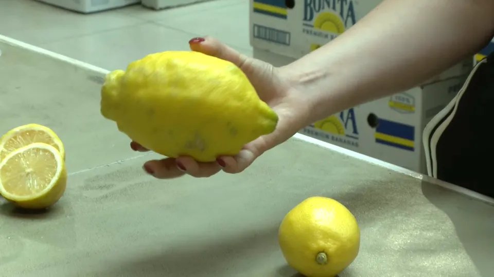 Neobično veliki limunovi na srpskom tržištu, tri voćke u kilogramu