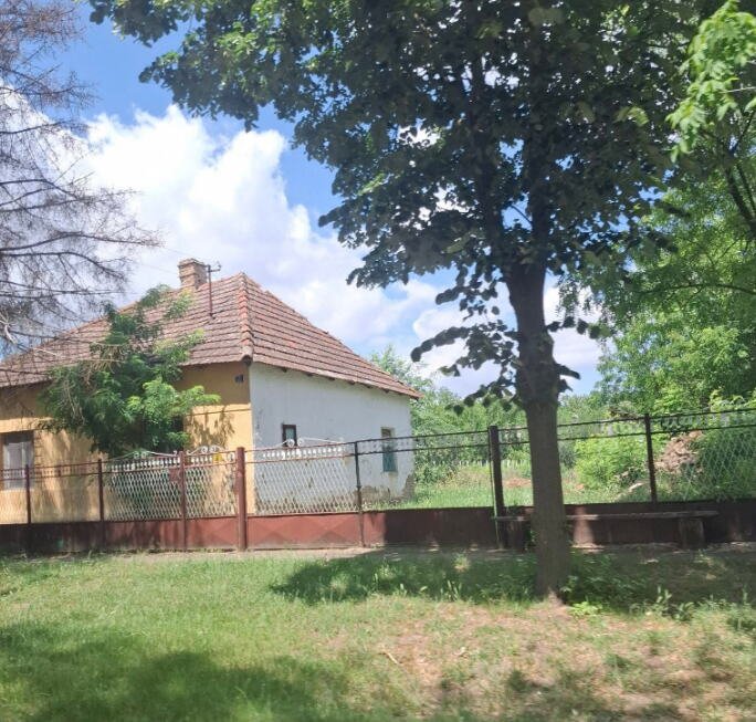 Ogromna kuća i plac u Vojvodini prodaju se za 10.000€: Svi se pitaju u čemu je caka, a evo šta je istina! FOTO