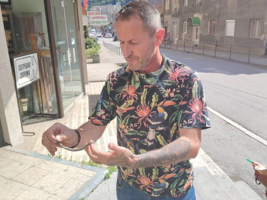 "SIĆUŠNA JE, ALI KOBNA ZA LJUDE!" Poznati zmijolovac ponovo intervenisao, gosti kafića pronašli NEPOZVANOG GOSTA: Hadži Basur odmah zasukao rukave (FOTO, VIDEO)