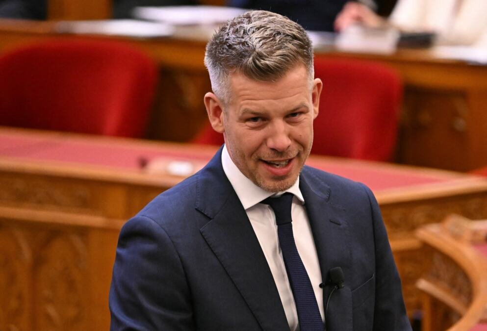 ZAVIRITE U BOGATSTVO PETERA MAĐARA! Luksuzni kvadrati, umetnine i brdo keša: Isplivao zvanični dokument koji je zapalio javnost!