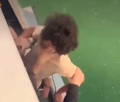 (UZNEMIRUJUĆI VIDEO) ALEKSANDRA (22) TUKLI, PONIŽAVALI I VIKALI "UDAVITE GA" Skočio sa broda da spase živu glavu, pa se UTOPIO: Snimljen trenutak kako NESTAJE!