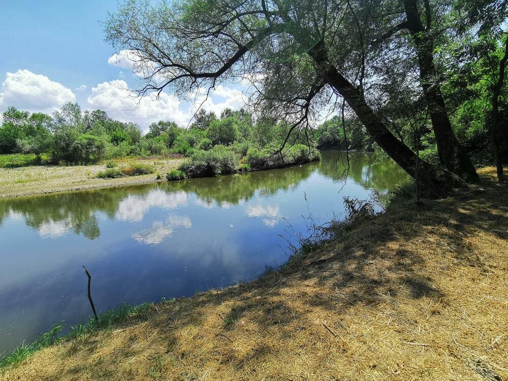 KONOBARICA OTIŠLA U ŠETNJU I NESTALA: Posle 3 godine otkriveni jezivi detalji, na drvetu JEZIVA oznaka, a ispod...