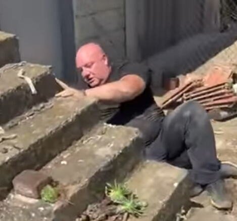 (VIDEO) POZNATOG ZMIJOLOVCA UJELA ZMIJA! Vladica proturio ruku da je uhvati, pa dobio neočekivani ODGOVOR - objavljen dramatičan snimak: "MAJKO MOJA!"