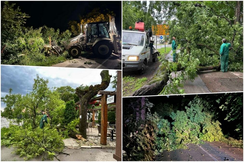 NEVREME ČUPALO DRVEĆE U SRBIJI: Grad na udaru strašne oluje ekipe hitno izašle na teren da saniraju štetu (FOTO)