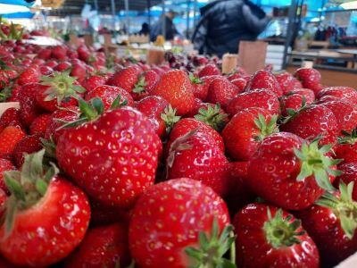 EKSPLOZIJA BOJA I UKUSA NA BEOGRADSKIM PIJACAMA: Bogata i sveža ponuda voća (FOTO)