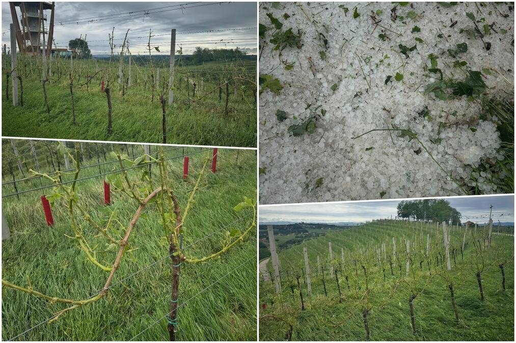 OLUJA SKINULA KROV S MRTVAČNICE! Vinogradari u očaju kad su videli šta ih je dočekalo! "Noćas nam je srce ostalo tamo", stravično nevreme u Hrvatskoj! (FOTO)