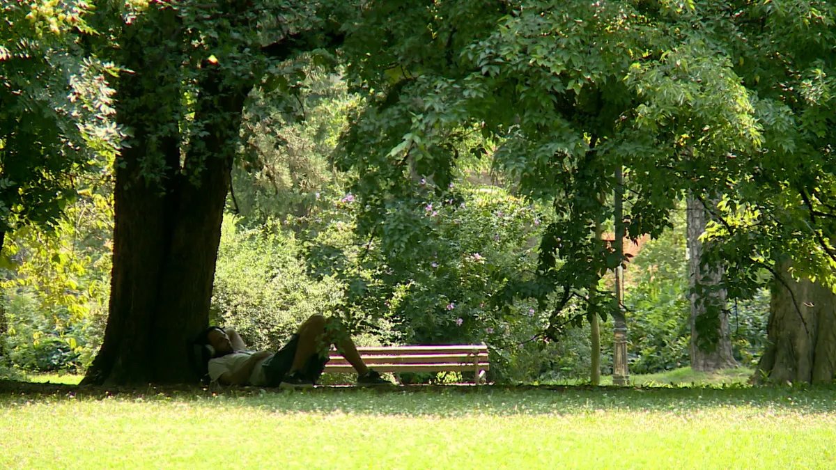 Žarko Mićin: Vraćamo jezerce u Futoški park