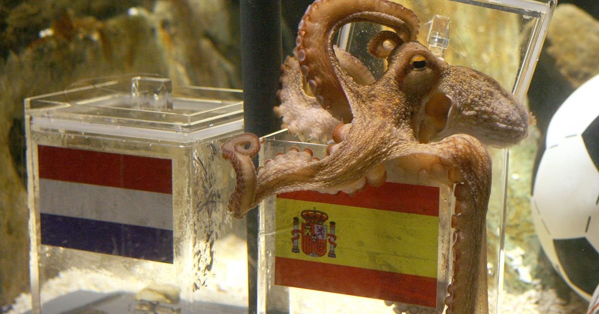 Da li se sećate čuvene hobotnice, predviđala je rezultate na SP i pogodila sve, sada je menja ova životinja