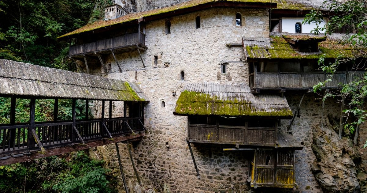 Nestvaran snimak zabeležen u blizini srpske svetinje: Biće se šeta po šumi, a onda je pogledalo u kameru