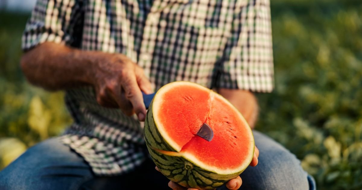 Presekli ste lubenicu i ugledali žute linije? Evo kada sme da se jede, a kada mora pravo u kantu