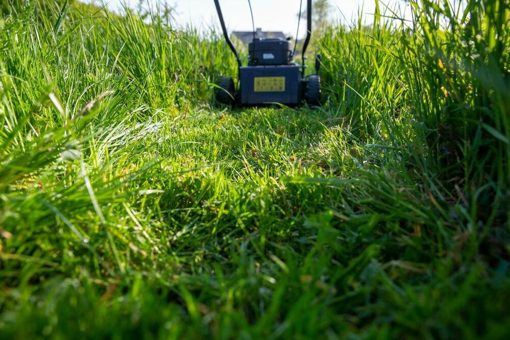 Uništavate travnjak i kvarite kosilicu: Nikako ne kosite travu u ovo doba dana, evo zašto je to greška!