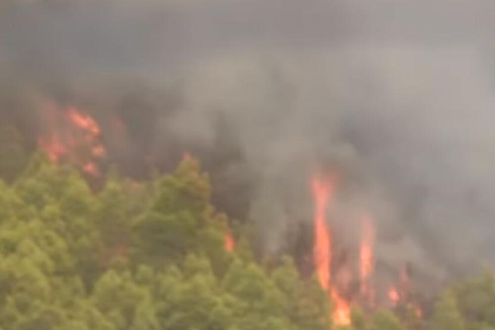 Detalji drame u Grčkoj: Izbio veliki požar, veliki broj vatrogasaca na terenu, podignut i helikopter! (VIDEO)