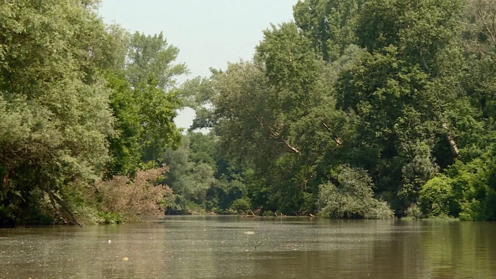 Dve osobe nestale u Tisi kod Sente, sumnja se da su se utopile