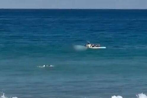 "JEZIV VRISAK JE ODJEKNUO PLAŽOM, MISLILI SMO DA SE DECA IGRAJU, A ONDA..." HOROR snimci žene koju je napala velika bela ajkula! Sve je bilo KRVAVO! (VIDEO)