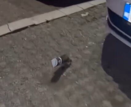 MALI HEROJ SE BORIO ZA SVAKI KORAK! Mladići zatekli nesvakidašnju scenu na ulici, pa pritekli odmah životinji upomoć: Ono što su uradili oduševilo sve! (VIDEO)