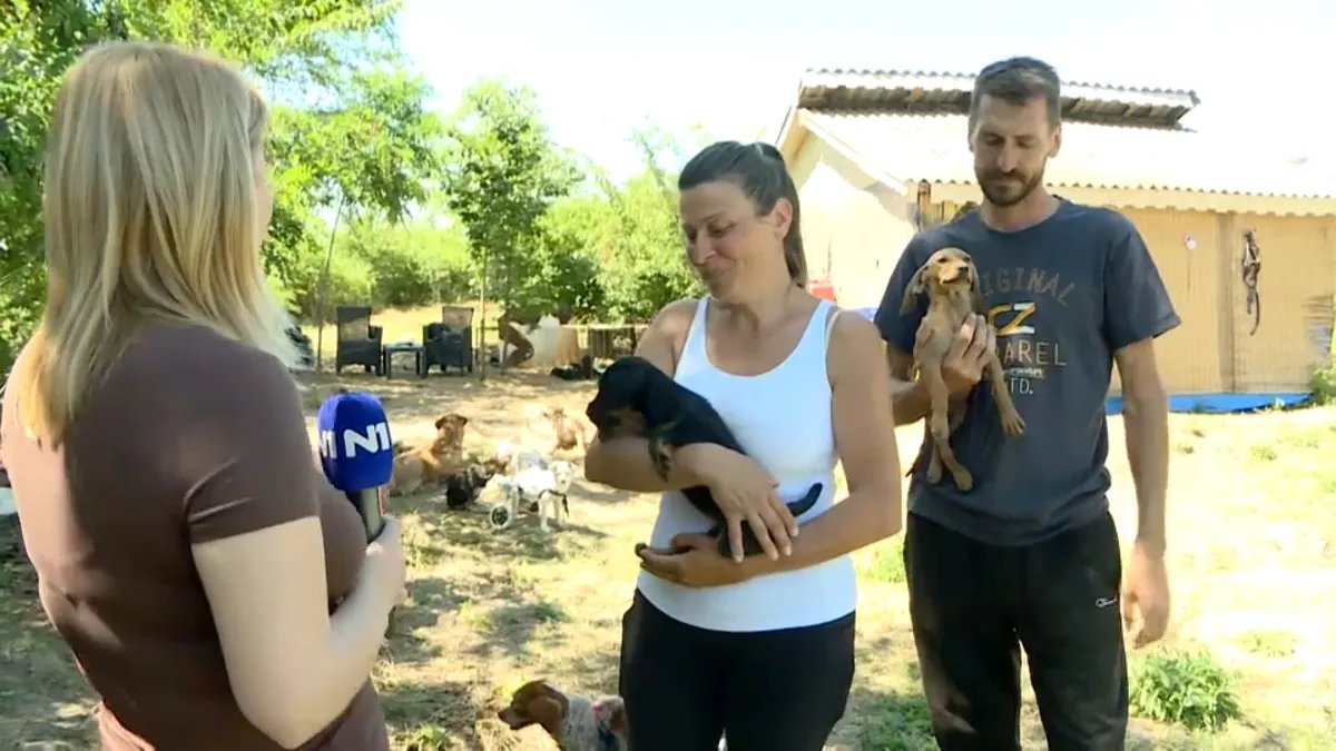 Marija i Miloš deceniju i po spasavaju napuštene pse: Nedostatak podrške veliki problem, ali - ne odustaju