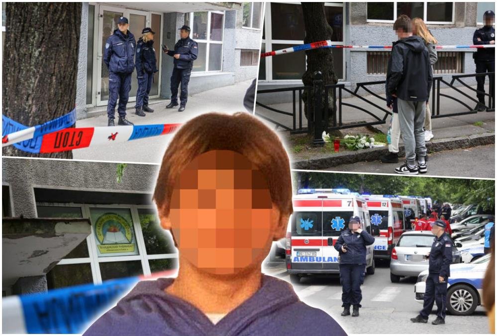 DA LI SAM PSIHOPATA AKO VOLIM ŽIVOTINJE? Dečak ubica iz Ribnikara guglao jezive stvari, veče pre masakra ga je ovo NAJVIŠE zanimalo: "Mogu li pištoljem da..."
