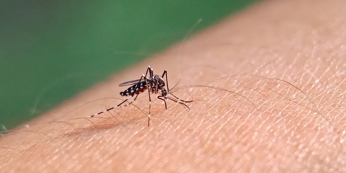 Prvi registrovan slučaj zika virusne infekcije u Severnoj Makedoniji