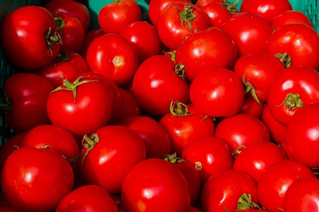 Paradajz vam omekša za dva dana? Greška je u frižideru, a evo gde zapravo treba da stoji da ostane sladak