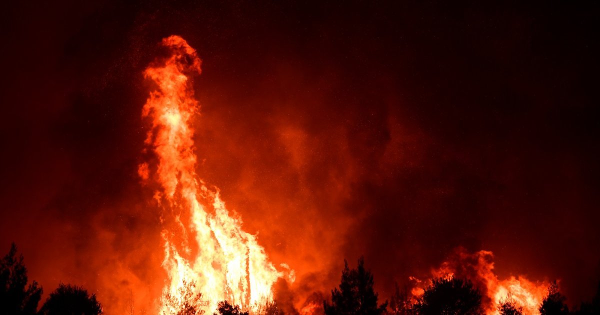 Veliki šumski požar na Eviji, desetine vatrogasaca na terenu: Počela evakuacija naselja
