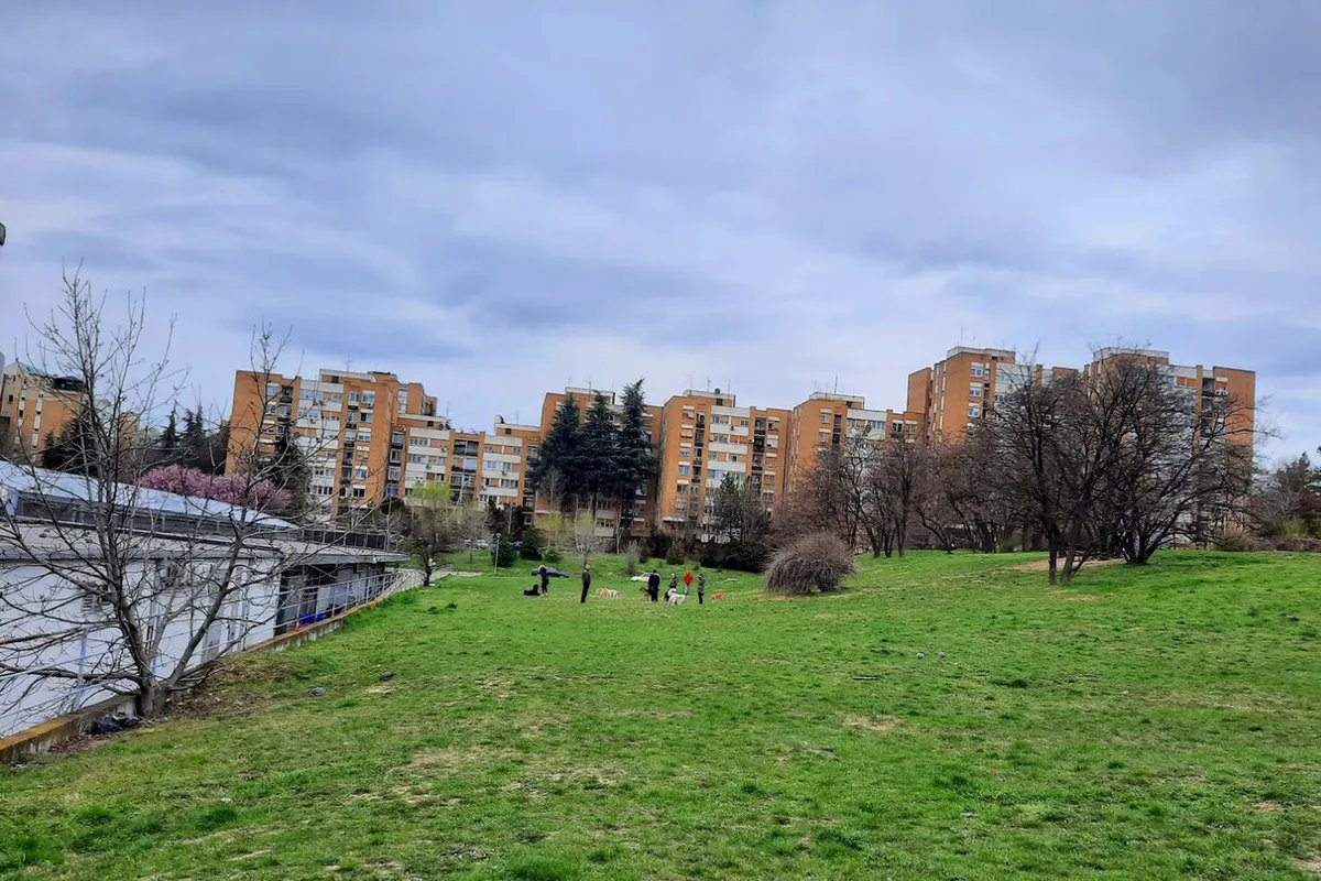 Građani Mirijeva u borbi za jedinu šumu u ovom delu grada: Potpisi podrške prikupljaju se na više lokacija