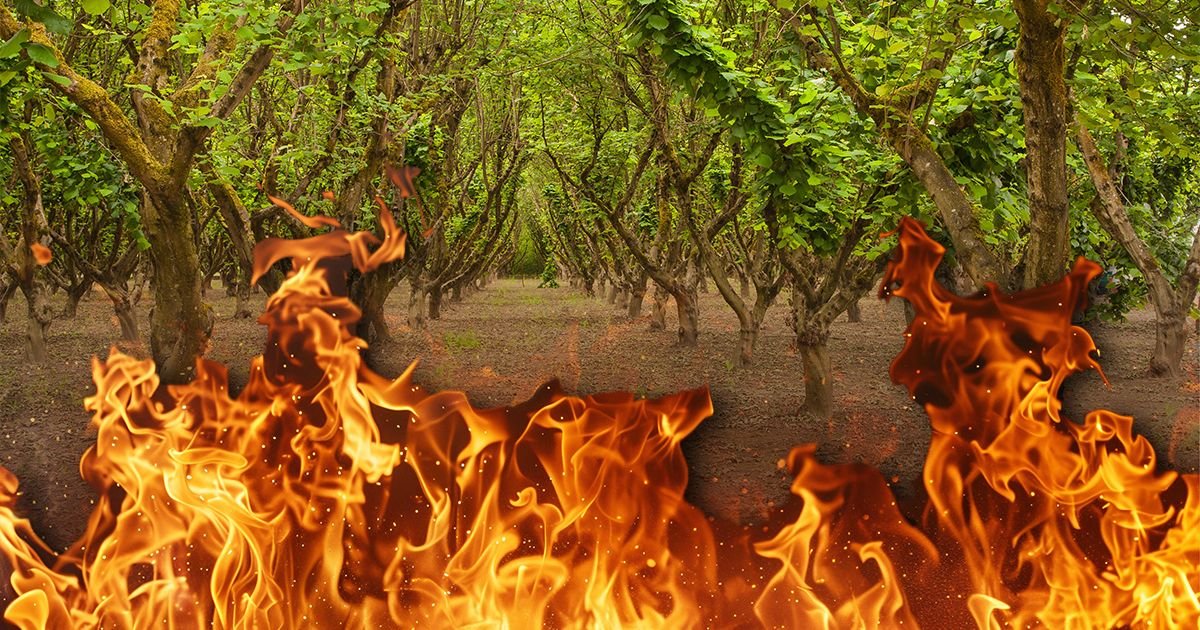 Još jedan požar na području Mostara: U gradu uvedeno vanredno stanje, evo šta je sada buknulo!