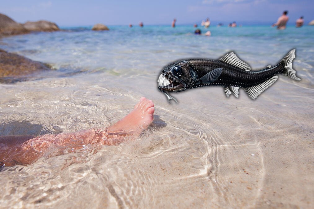 Drama u plićaku poznate plaže, dete iz Srbije doživelo pakao u Grčkoj: Spasio ga lek koji mu je majka dala ranije, otac opisao sekunde užasa