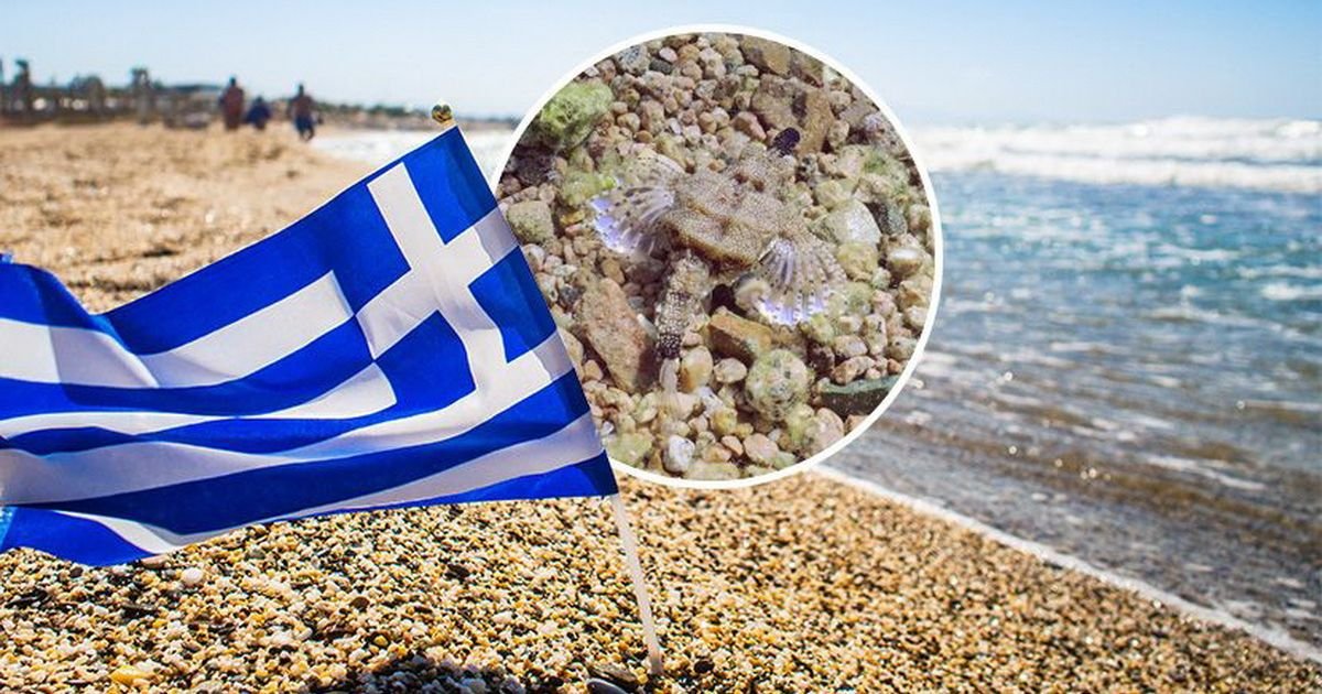Dete iz Srbije doživelo pakao u Grčkoj: Mama pre nesreće uradila JEDNU STVAR i spasila dečaka