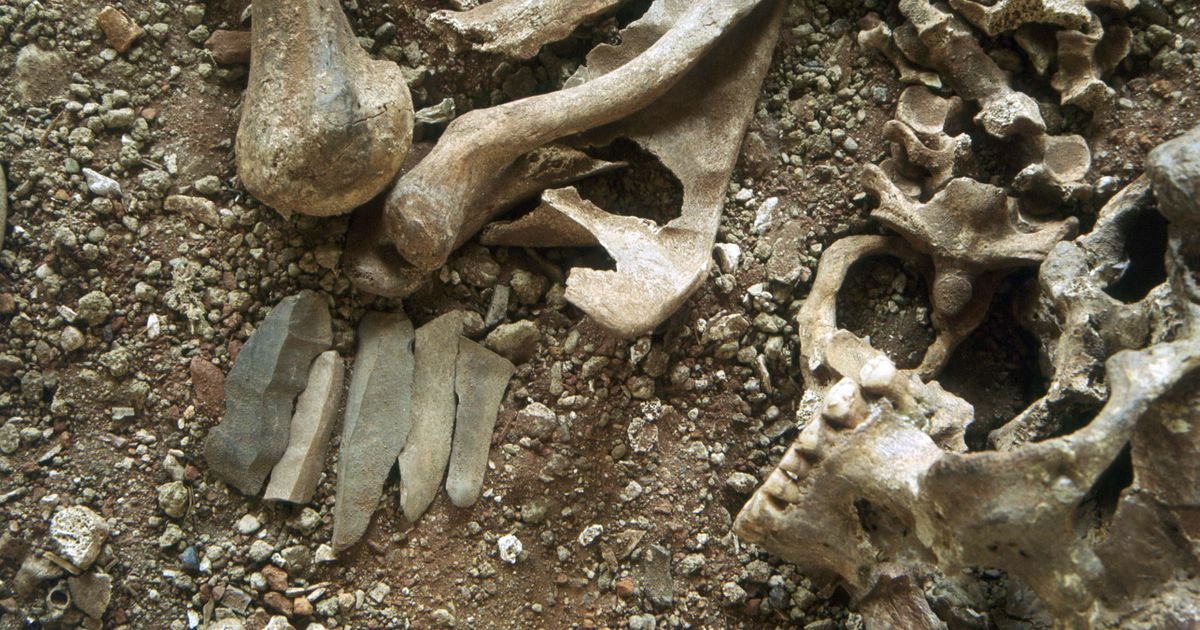 Dečaka rastrgao medved, ali nije umirao sam Najstariji dokaz pogrebnih rituala: Žalili su za mrtvima kao mi