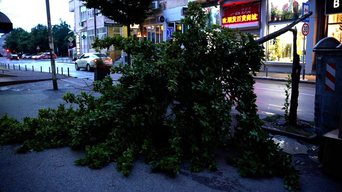 PRIORITET UKLANJANJE OBORENIH STABALA! Loznica posle nevremena: Pogledajte štetu! (FOTO)