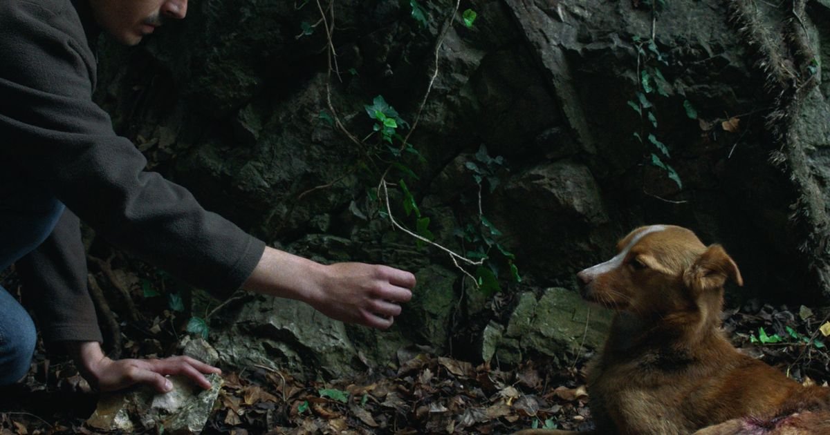 Film Vetre, pričaj sa mnom Stefana Đorđevića u takmičarskim programima festivala u Sopotu i Puli
