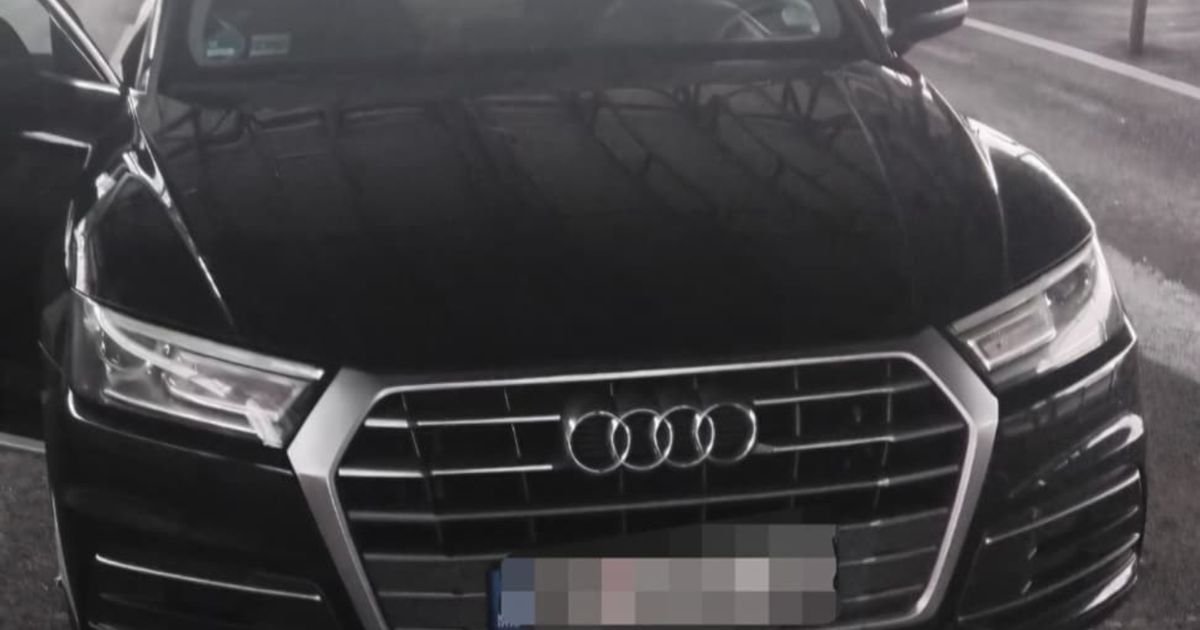 Opasan kriminalac iz Srbije "pao" na granici: Interpol našao debeo dosije, zaplenjen luksuzni "Audi Q5"