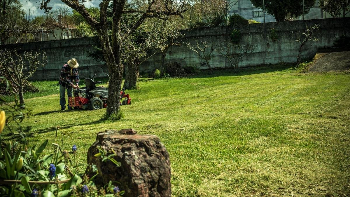 Kako se leti održava travnjak? Kod zalivanja svi prave istu grešku