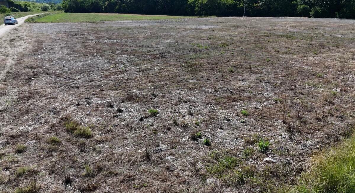 VELIKA MATERIJALNA ŠTETAPožar kod Varvarina uništio više hektara pšenice