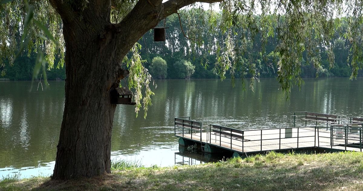 Odbor prihvatio predlog zakona o sprečavanju zagađivanja životne sredine