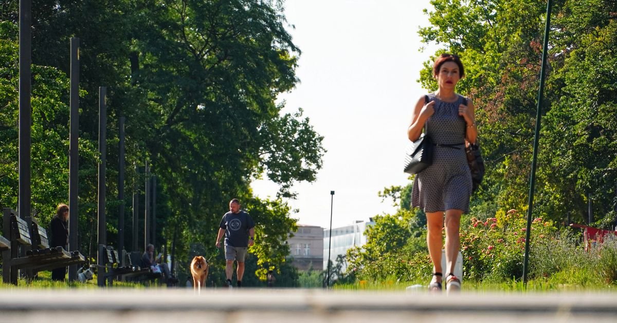 Red sunca, red oblaka, pa red kiše: Temperatura do 32 stepena